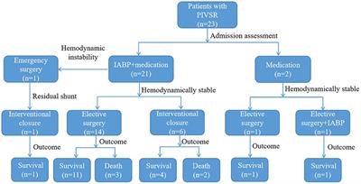 Treatment Strategies for Ventricular Septal Rupture After Myocardial Infarction: A Single-Center Experience